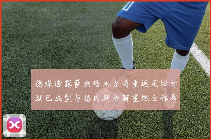 德媒透露萨利哈米季奇重返足坛计划已成型与赫内斯和解重燃合作希望