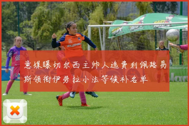 意媒曝切尔西主帅人选费利佩路易斯领衔伊劳拉小法等候补名单