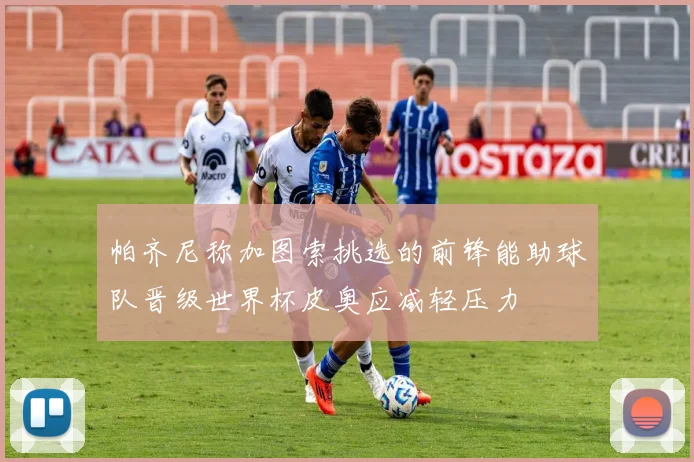 帕齐尼称加图索挑选的前锋能助球队晋级世界杯皮奥应减轻压力