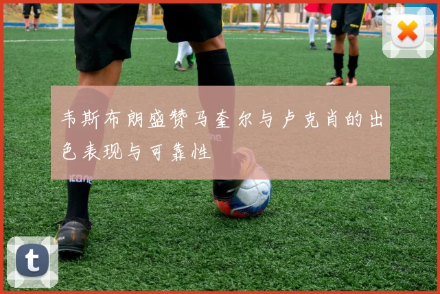 韦斯布朗盛赞马奎尔与卢克肖的出色表现与可靠性